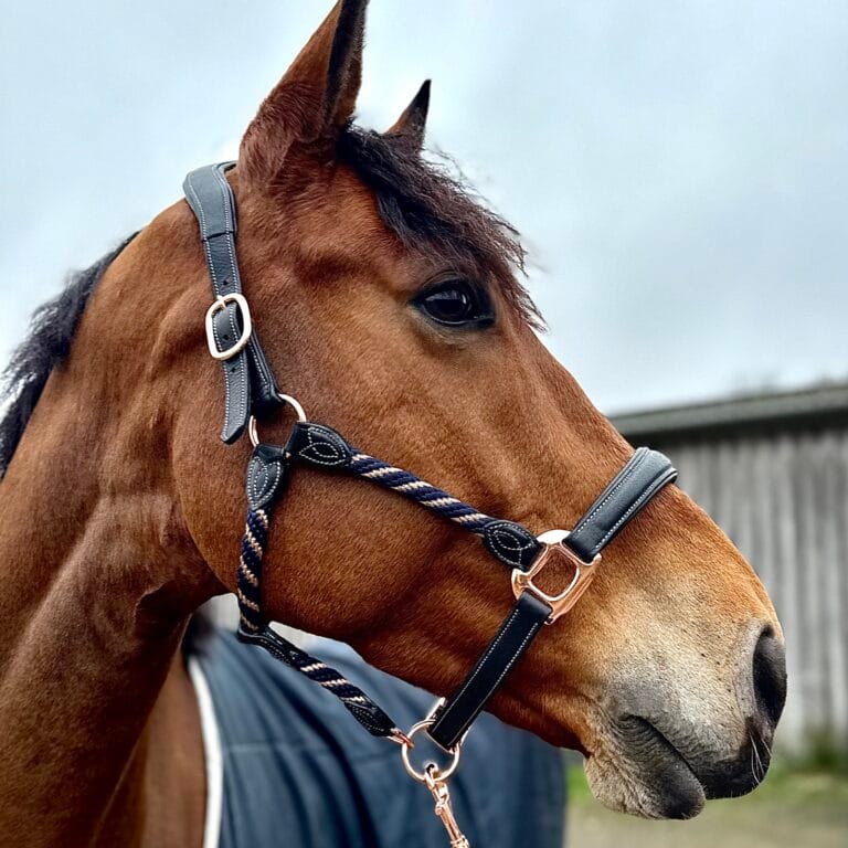 Chrystelli Palermo lædergrime med blå/rosegold detaljer